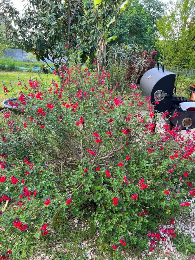 Holiday home Le Loriot