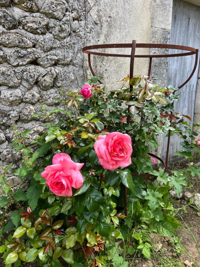 Le Loriot * Champagne-et-Fontaine